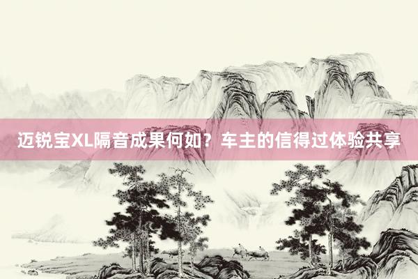 迈锐宝XL隔音成果何如？车主的信得过体验共享